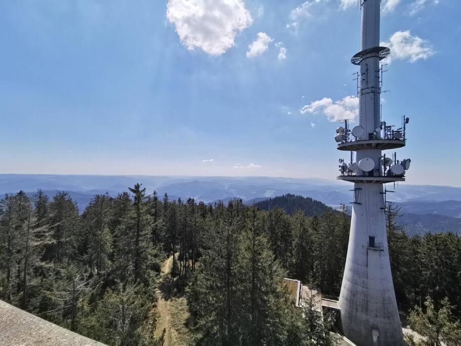 Traumhafte Maisonette-Wohnung Im Schwarzwald Freudenstadt Esterno foto