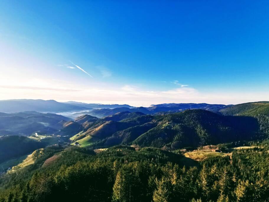 Traumhafte Maisonette-Wohnung Im Schwarzwald Freudenstadt Esterno foto