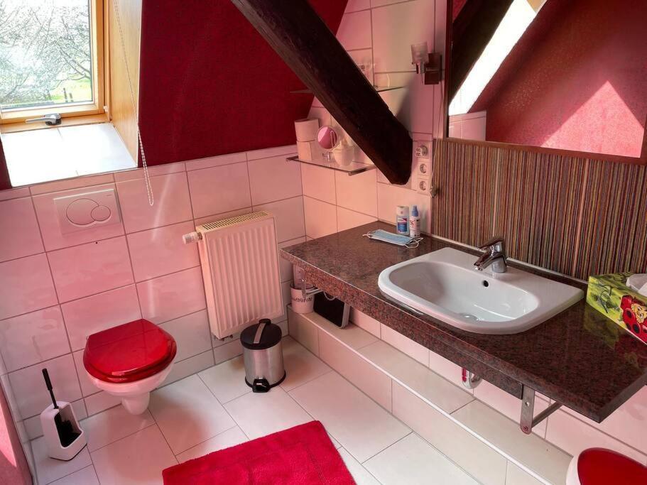 Traumhafte Maisonette-Wohnung Im Schwarzwald Freudenstadt Esterno foto