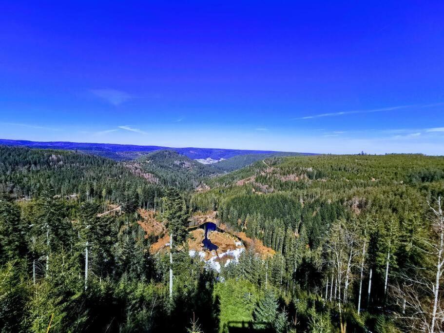 Traumhafte Maisonette-Wohnung Im Schwarzwald Freudenstadt Esterno foto