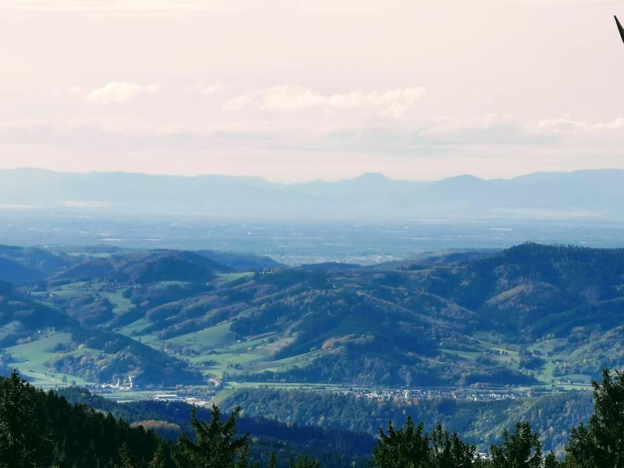 Traumhafte Maisonette-Wohnung Im Schwarzwald Freudenstadt Esterno foto