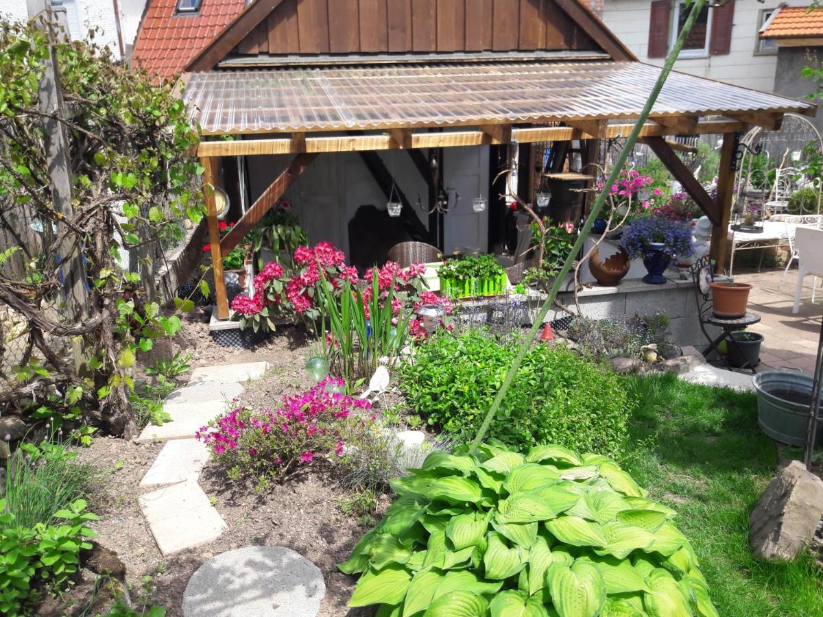 Traumhafte Maisonette-Wohnung Im Schwarzwald Freudenstadt Esterno foto
